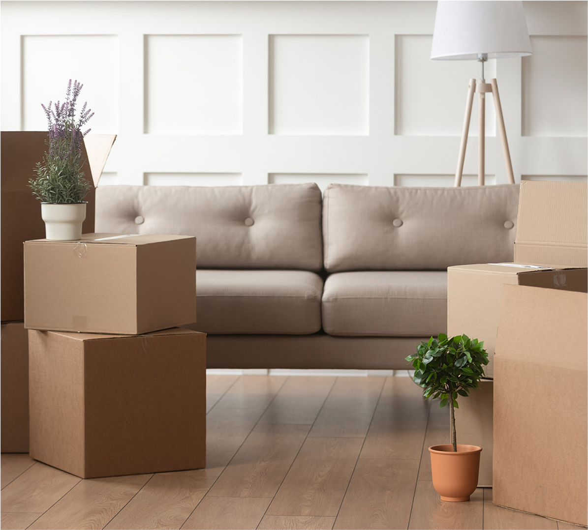 The Art of Moving: Fine Art Handling Specialists