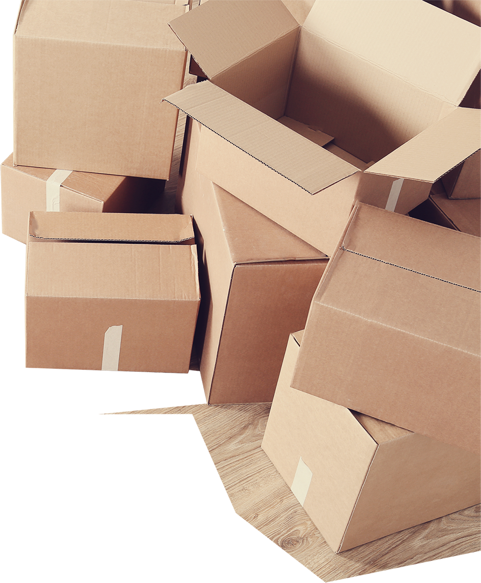 The Art of Moving: Fine Art Handling Specialists