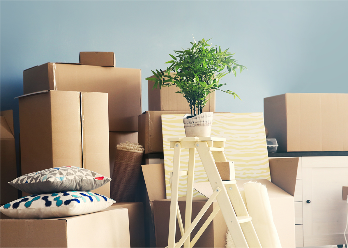 Moving Services: The Art of Moving, Naples, FL